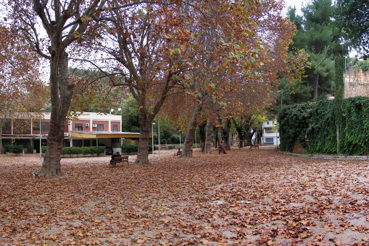 Paseo San Luis en otoño