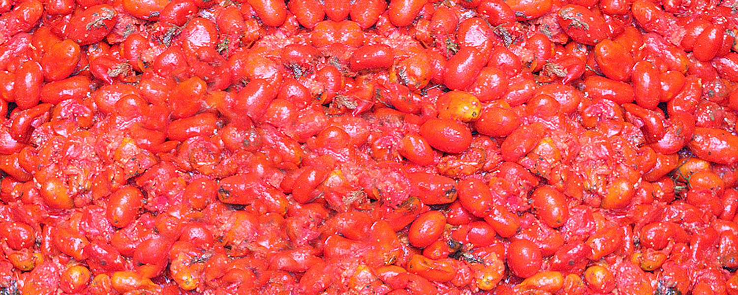 La Hoya de Buñol - Turismo La Tomatina