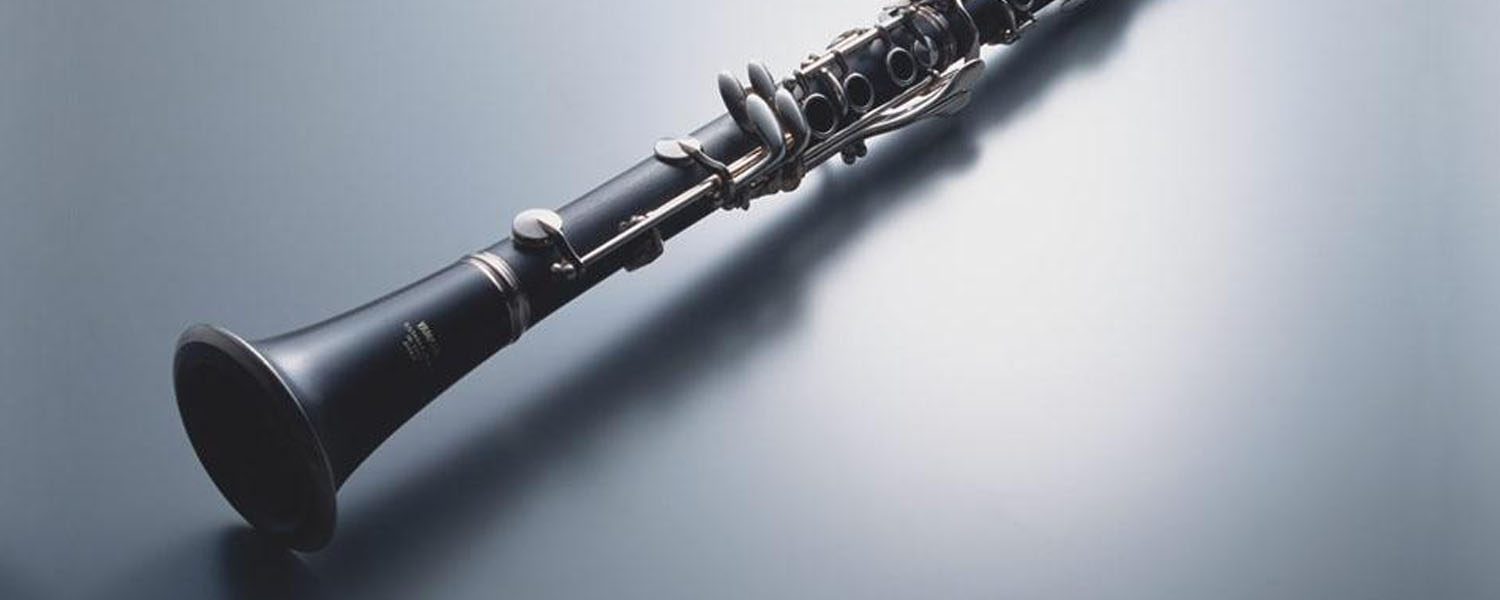 Curso de promoción "Juan Carlos Máñez" Oboe y Fagor