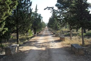 La Hoya de Buñol - Turismo natural y deportivo. Camino